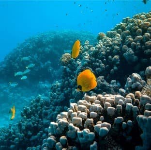 category 1 4 A2Z Travel & Tourism