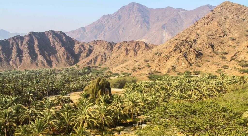 Fujairah 1 A2Z Travel & Tourism