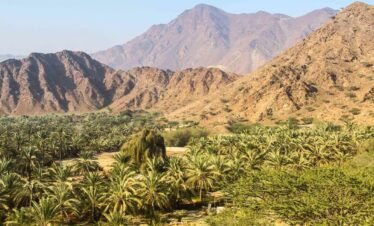 Fujairah 1 A2Z Travel & Tourism
