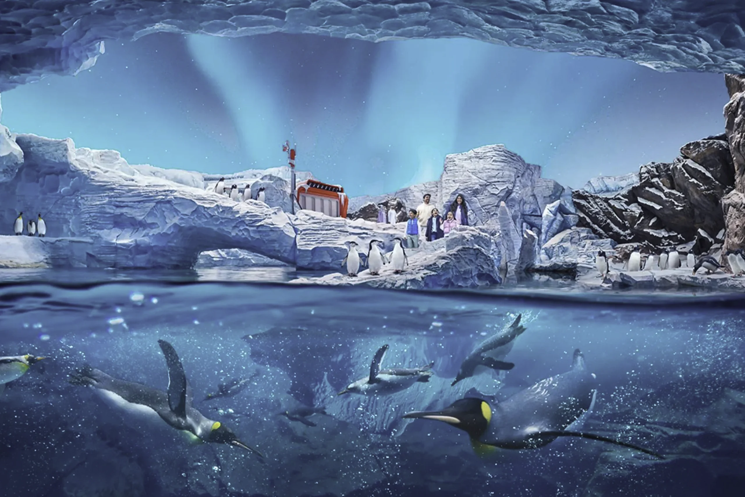 sea world abu dhabi 2 scaled